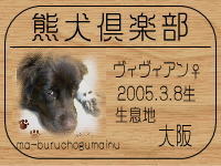 �I�[�i�[�́A�u���}�}����ł���